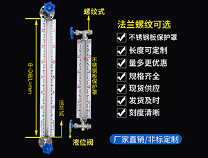 防腐型玻璃管液位计